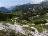 Planina Podvežak - Kocbekov dom na Korošici